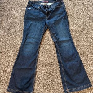 Cinch Dark Blue Flare Jeans